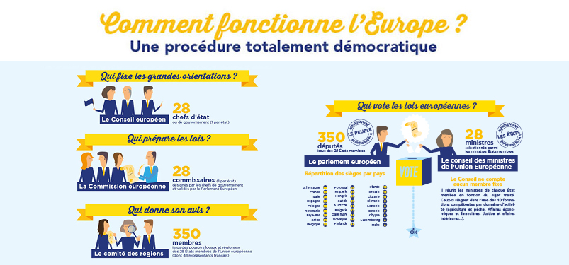 collectivite-territoire-informer-election-infographie